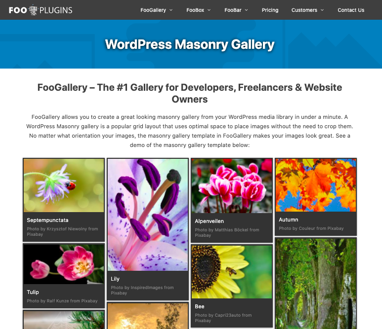 foogallery wordpress plugin masonry layout