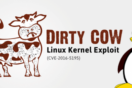 Dirty Cow Exploit - Linux Kernel