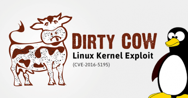 Panduan Untuk Patch Dan Proteksi Kernel Linux Dari Dirty COW Exploit (CVE-2016-5195)