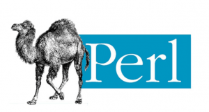 Perl-300x162