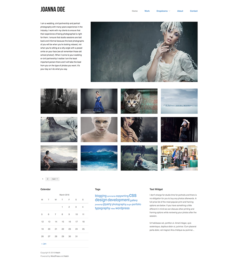 Template WordPress Portofolio Hatch Dewaweb