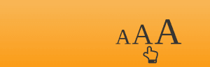 Plugin-typography-wordpress
