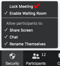 lock zoom meeting