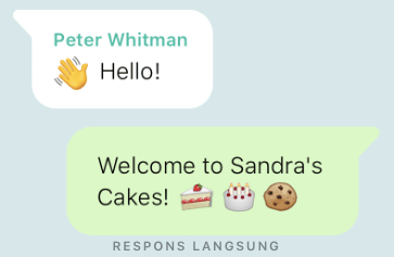 cara membuat whatsapp bisnis pesan otomatis