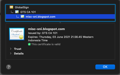 sertifikat ssl blogger custom domain udah valid dari ikon gembok