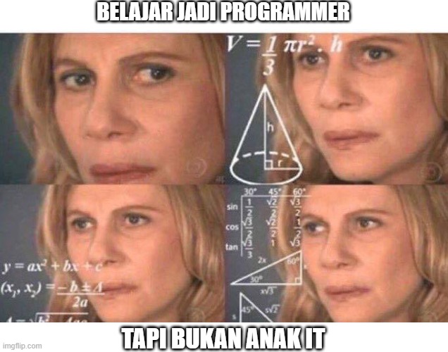 meme programmer