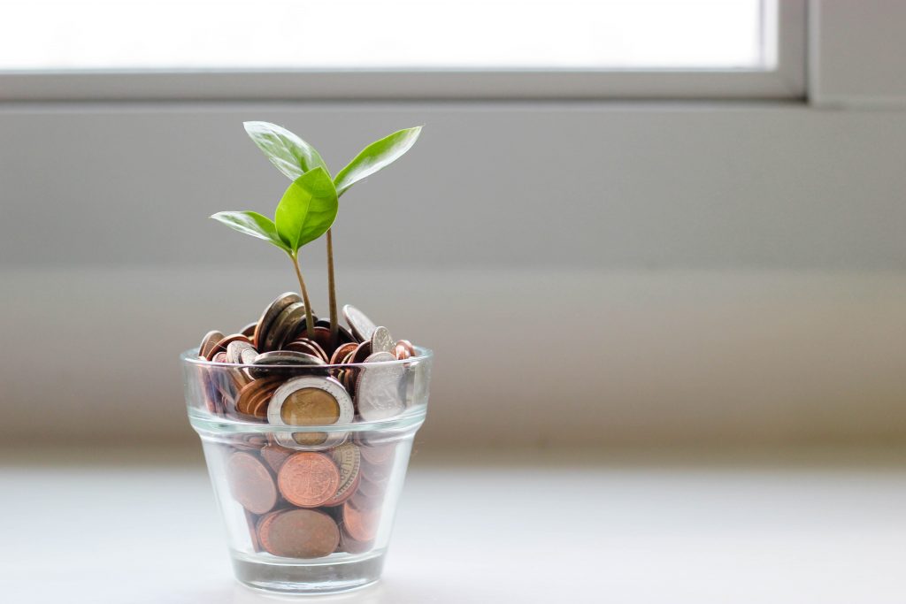 Asset Blog Dewaweb