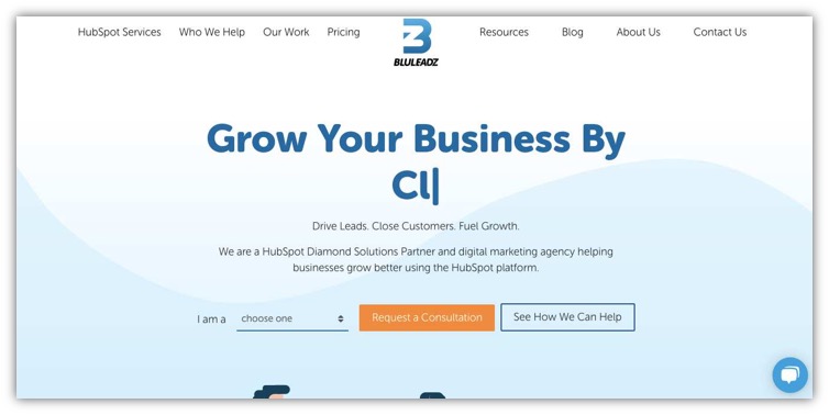 website bisnis - blueleadz