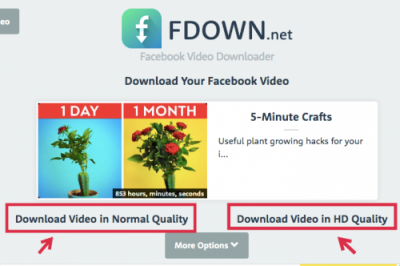 cara menyimpan video facebook - fdown.net