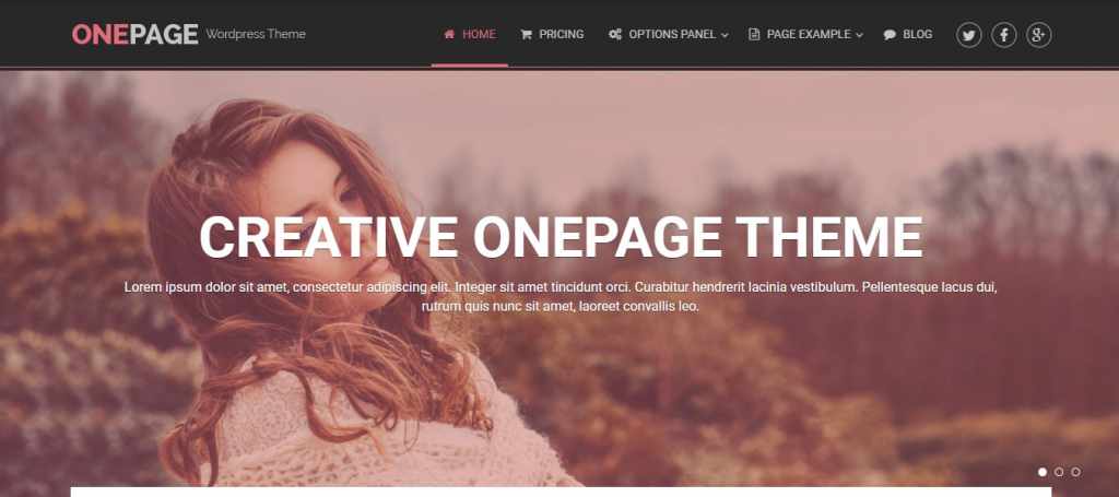 Tema WordPress Gratis OnePage Lite