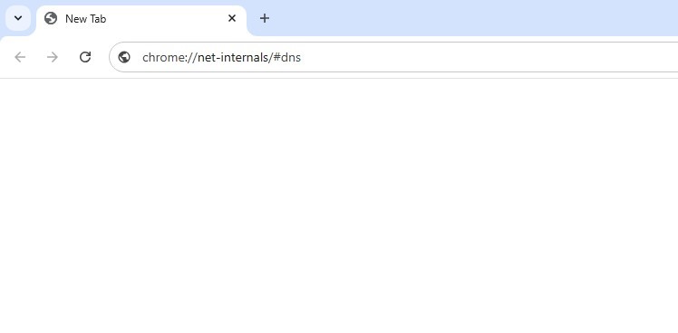 cara cache DNS di chrome