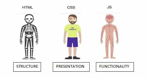 JavaScript, css, html