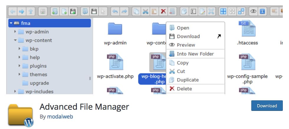 plugin wordpress download manager - advanced file manager