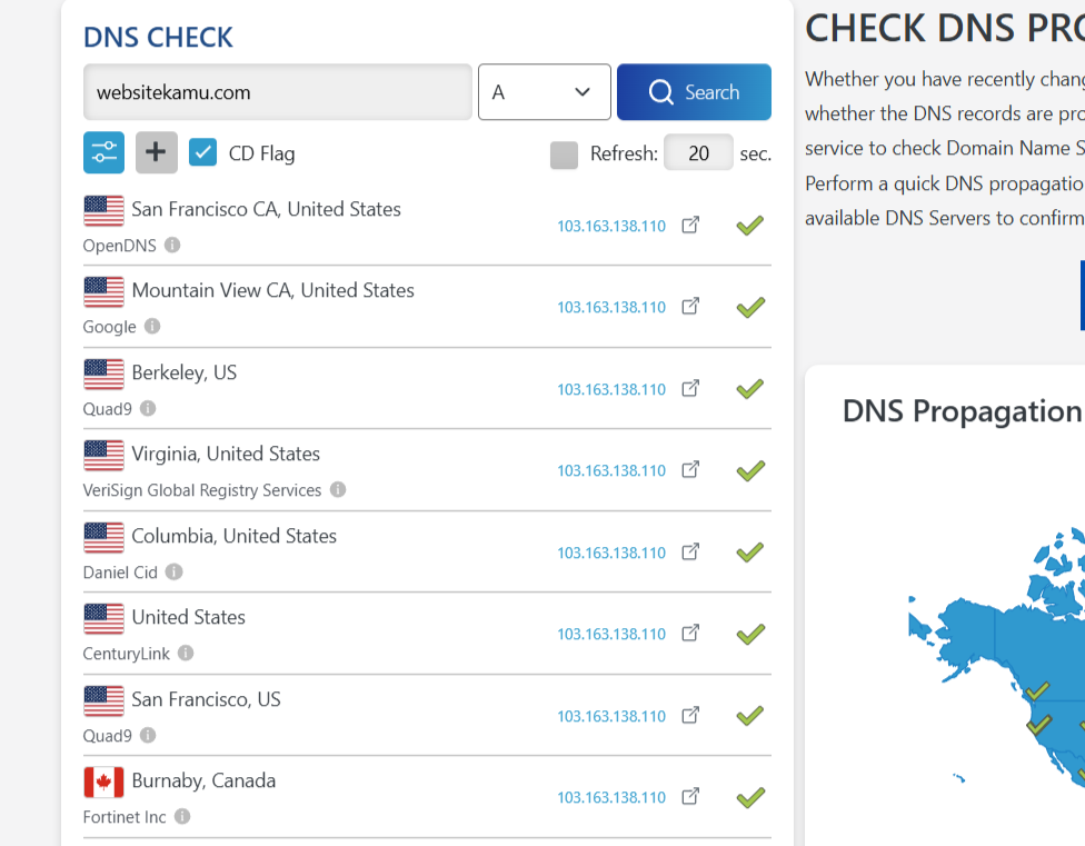 cara cek propagasi dns dari dnschecker