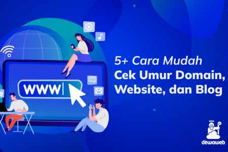 cara mudah cek umur domain