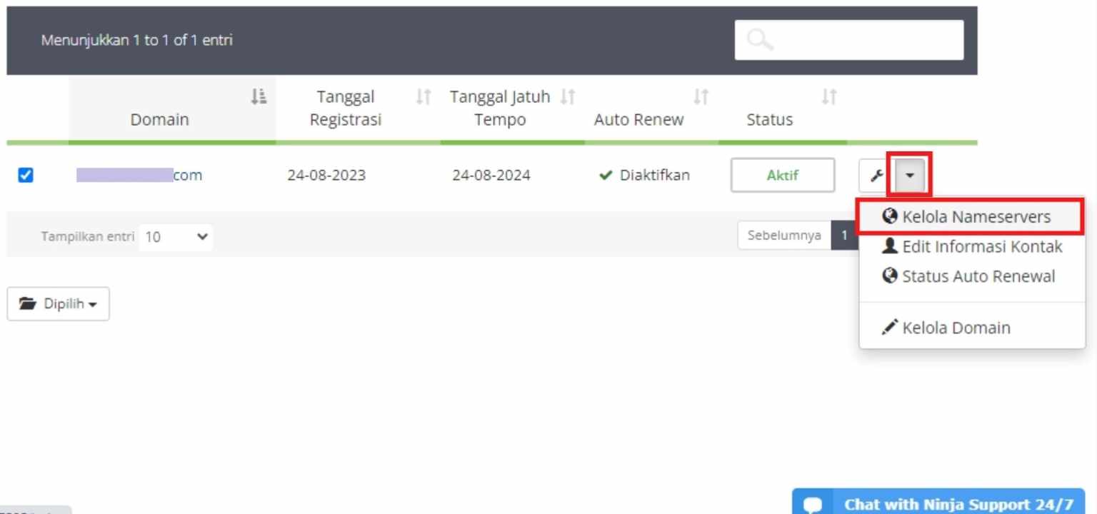 Cara Setting Domain Di Cloudflare, Website Jadi Lebih Cepat!