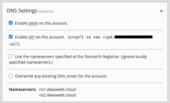 dns setting