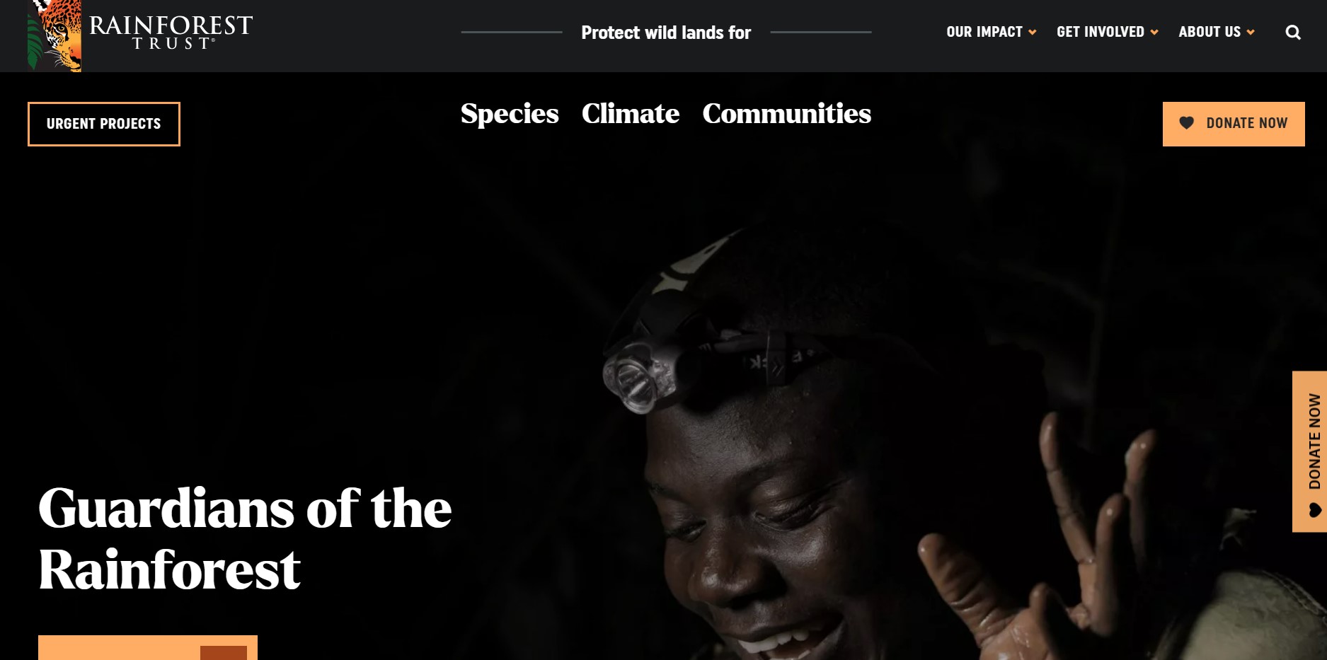 contoh desain web - rainforest trust
