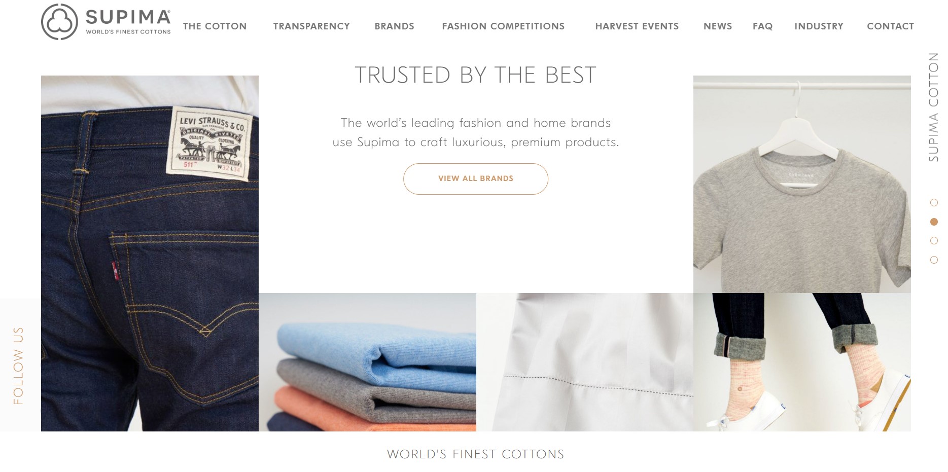 contoh desain web - supima